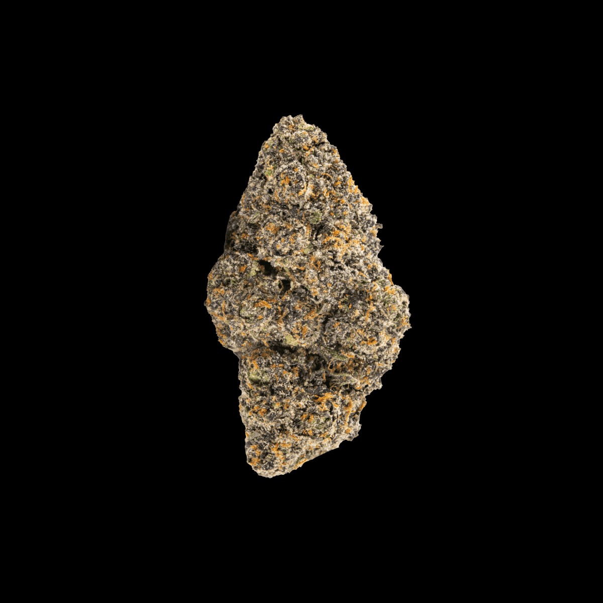 Black-Cherrry-Gelato-1-1200x1200